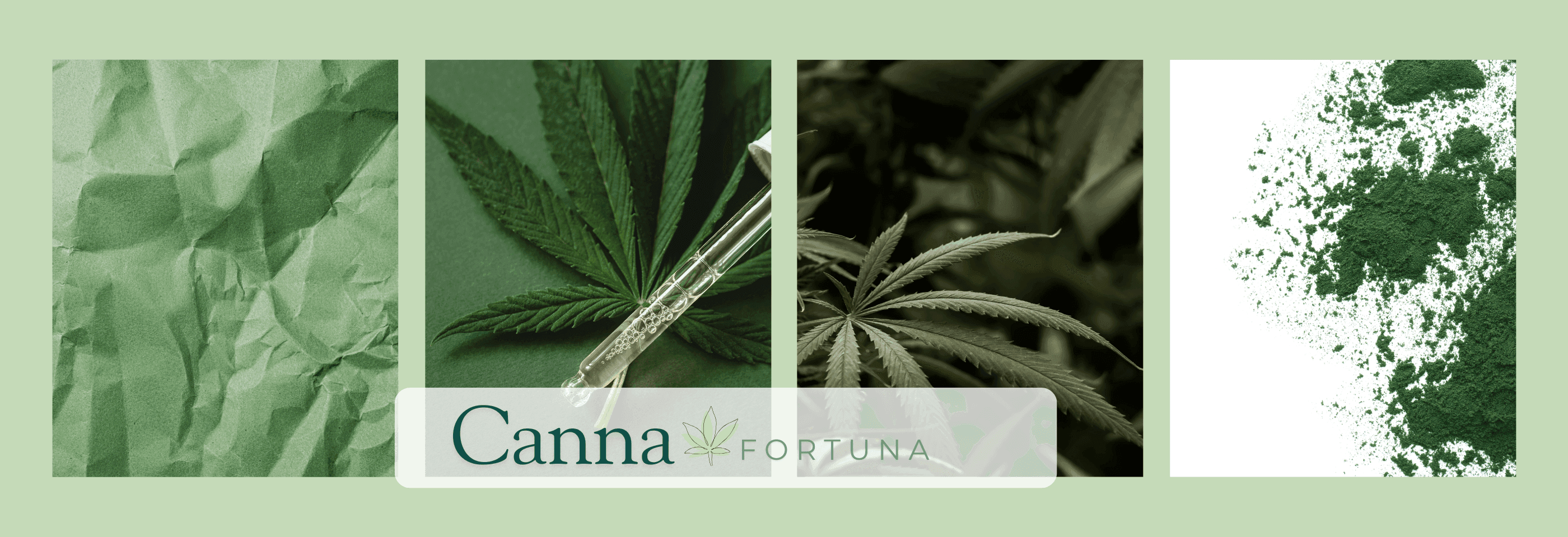 Nahaufnahme eines Cannabisblattes auf grünem Hintergrund.